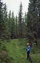WT 3300 368-38 Norway JohnArne Narum in the Woods